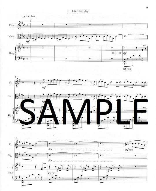 Schocker, G :: Summer Morning, Summer Afternoon