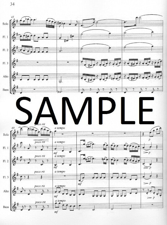 Mozart, WA :: Concerto in D Major, K. 314