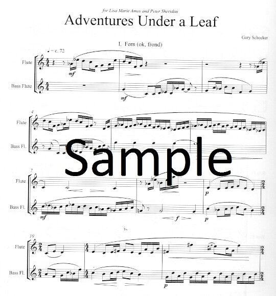 Schocker, G :: Adventures Under a Leaf