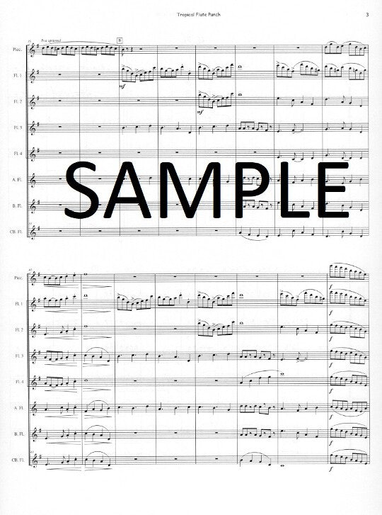 Cohen, J :: Tropical Flute Punch