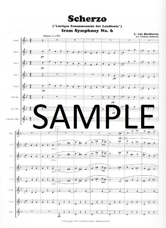 Beethoven, L :: Scherzo from Symphony No. 6