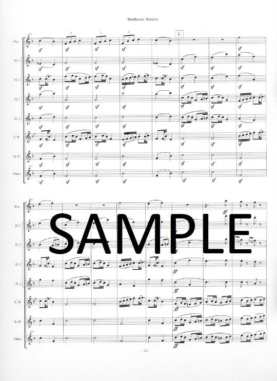 Beethoven, L :: Scherzo from Symphony No. 6