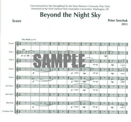 Senchuk, P :: Beyond The Night Sky