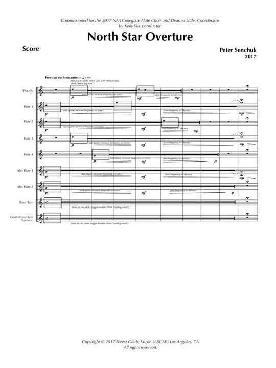 Senchuk, P :: North Star Overture
