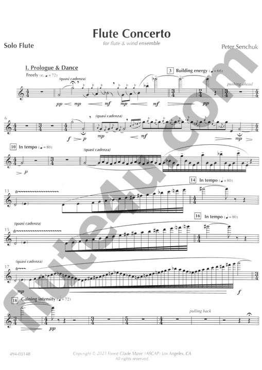 Senchuk, P :: Flute Concerto