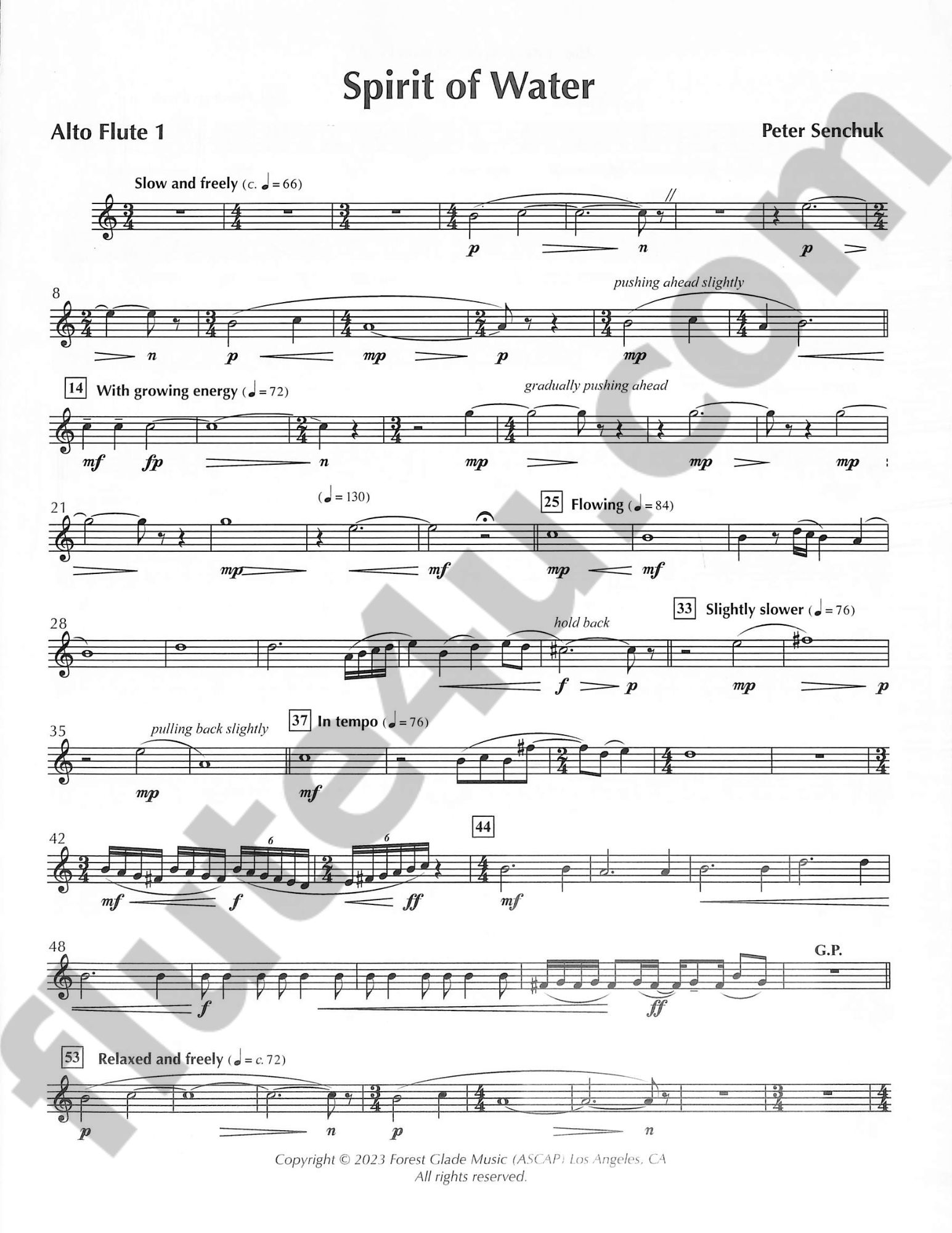 Senchuk, P :: Spirit of Water