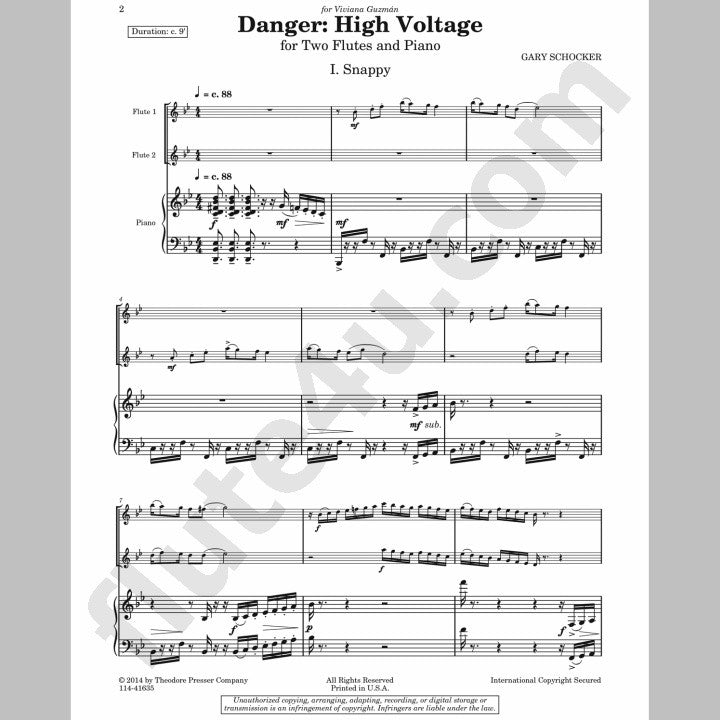 Schocker, G :: Danger High Voltage