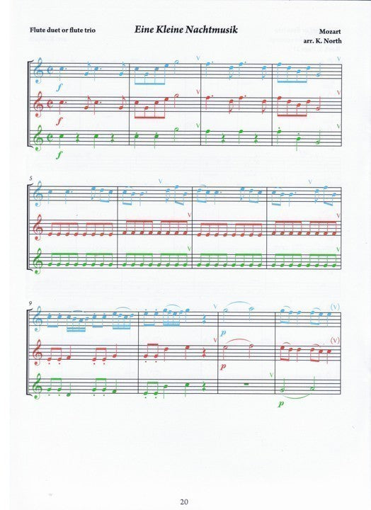 North, K :: The Young Flute Player Book 4