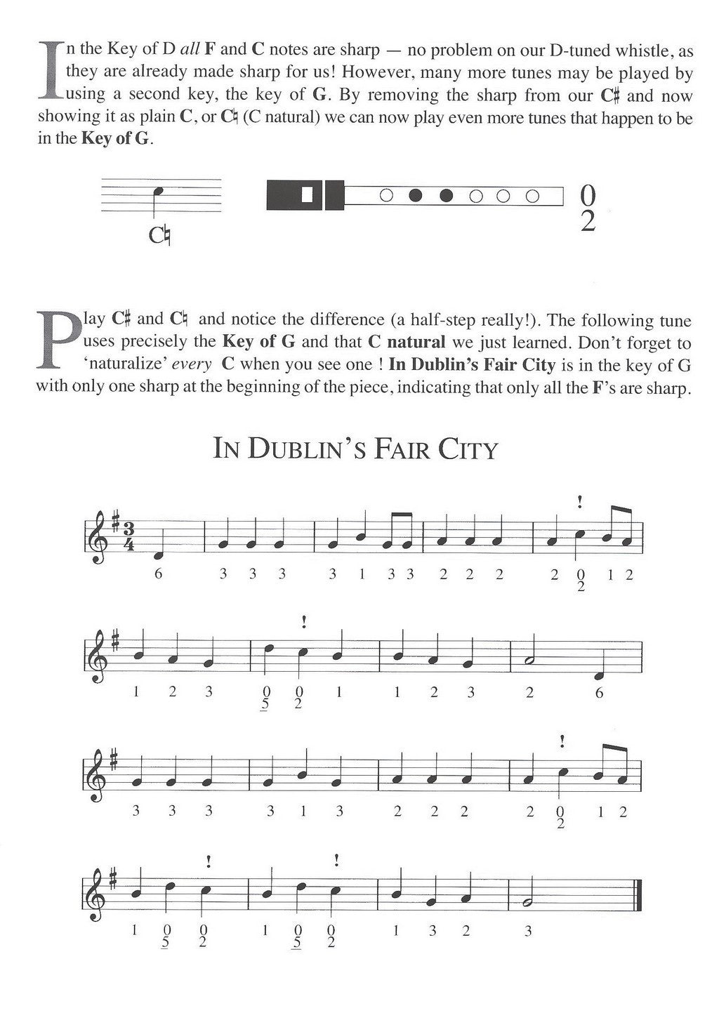 Traditional :: An Irish Whistle Tune Book
