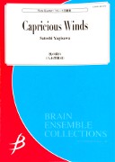 Yagisawa, S :: Capricious Winds