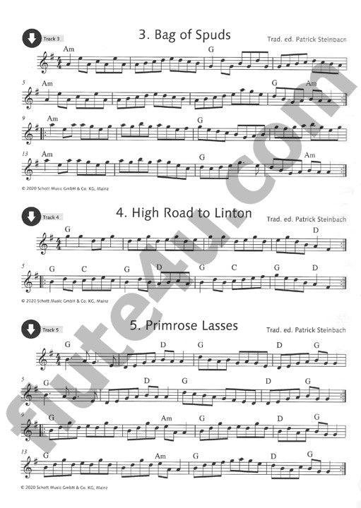 Various :: Irish Folk Tunes for Flute, Vol. 2