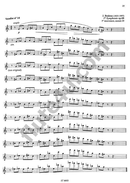 Bernold, P :: La Technique d'Embouchure
