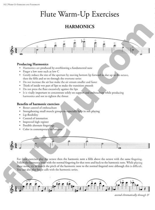 Stone, J :: Notes on the Flute