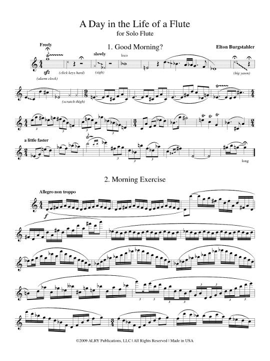Burgstahler, E :: A Day in the Life of a Flute