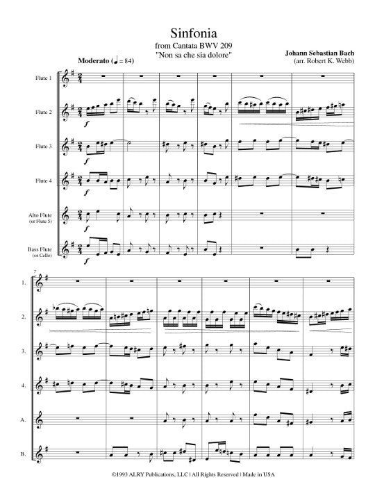 Bach, JS :: Sinfonia from 'Non sa che sia dolore'