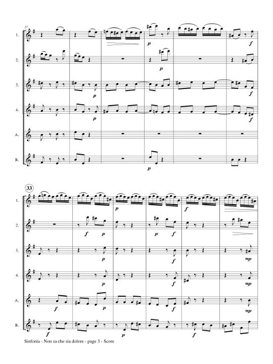 Bach, JS :: Sinfonia from 'Non sa che sia dolore'
