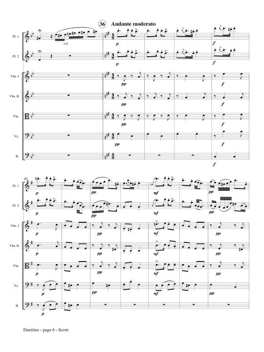 Doppler, F :: Duettino sur des Motifs Hongroise, Op. 36