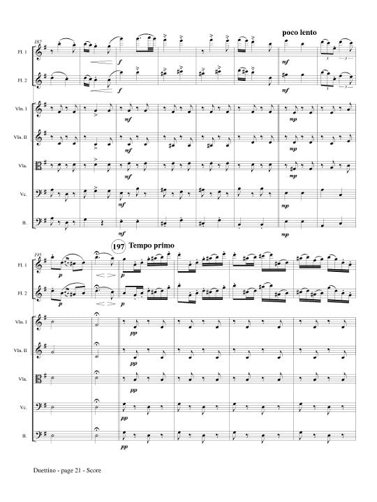 Doppler, F :: Duettino sur des Motifs Hongroise, Op. 36
