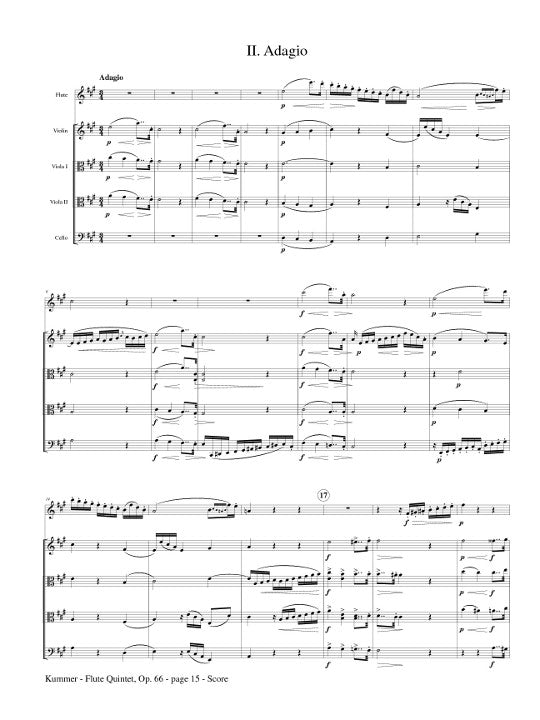 Kummer, K :: Flute Quintet, op. 66