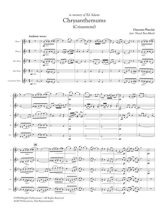 Puccini, G :: Chrysanthemums