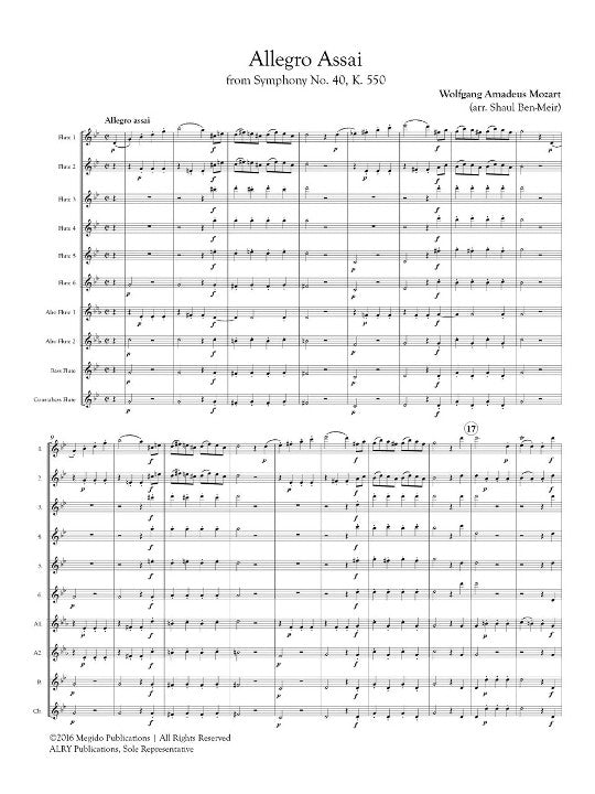 Mozart, WA :: Allegro Assai from Symphony No. 40, K. 550