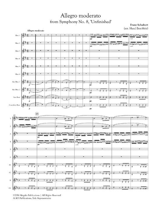 Schubert, F :: Allegro moderato from Symphony No. 8, 'Unfinished'