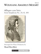 Mozart, WA :: Allegro con brio from Symphony No. 25, K. 183