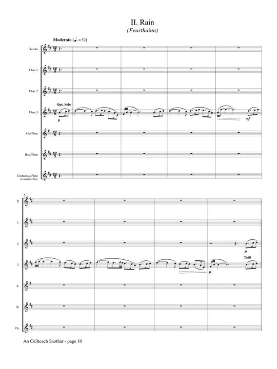McMichael, C :: An Ceilteach Saothar (A Celtic Offering)