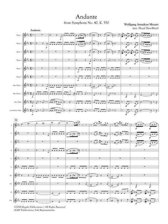 Mozart, WA :: Andante from Symphony No. 40, K. 550