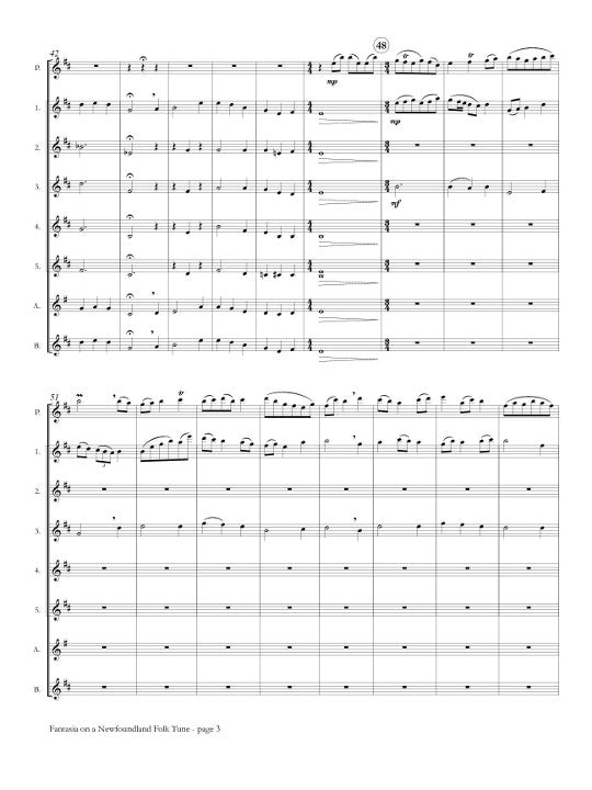 Nourse, N :: Fantasia on a Newfoundland Folk Tune