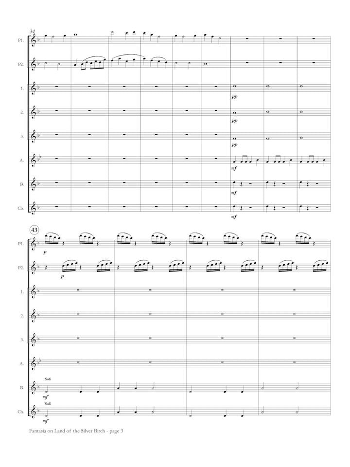 Nourse, N :: Fantasia on Land of the Silver Birch
