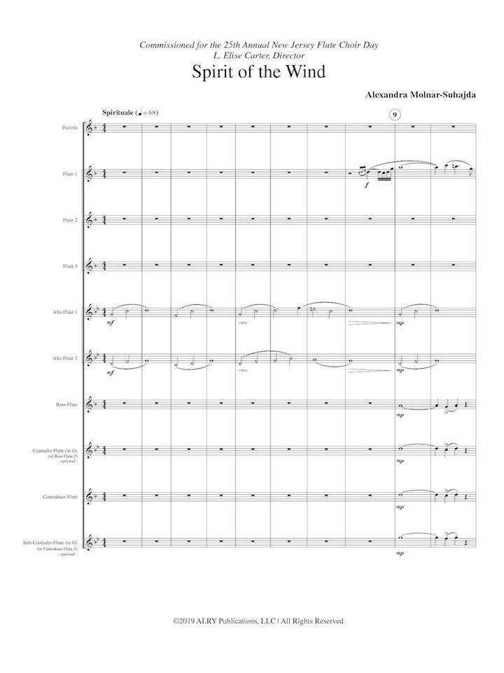 Molnar-Suhajda, A :: Spirit of the Wind