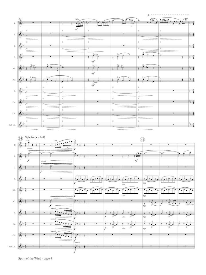 Molnar-Suhajda, A :: Spirit of the Wind