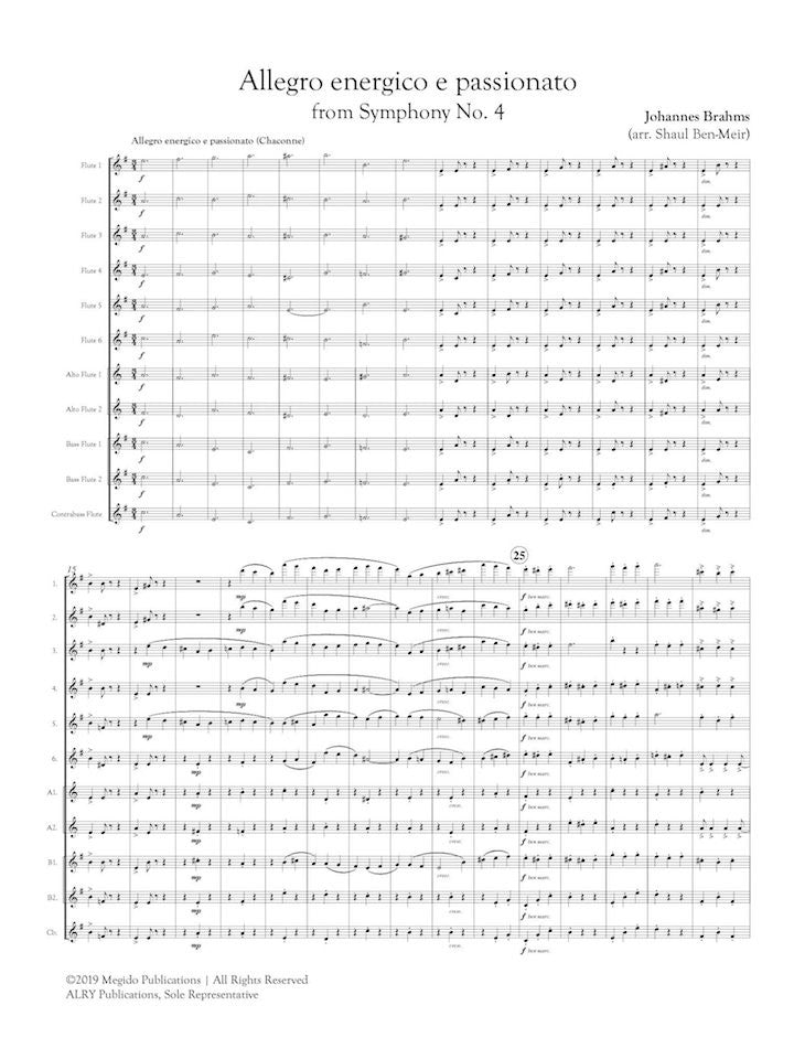 Brahms, J :: Allegro energico e passionato from Symphony No. 4
