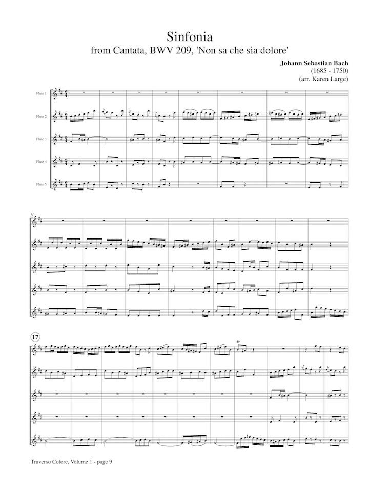 Various :: Traverso Colore: Vol. 1 - Baroque Quintets