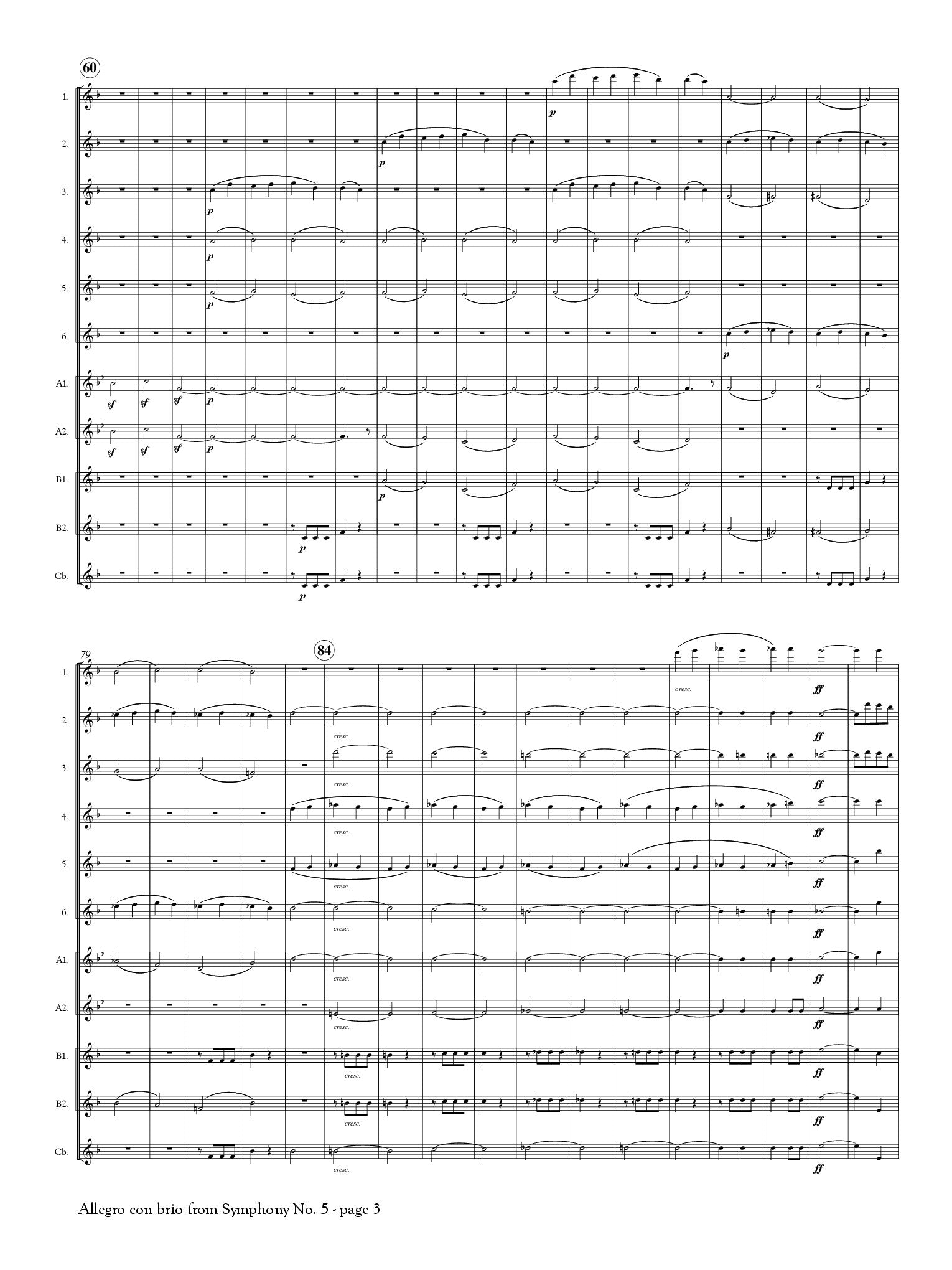 Beethoven, L :: Allegro con brio from Symphony No. 5