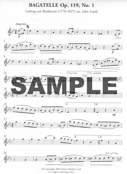 Beethoven, L :: The Wonderful World of Beethoven