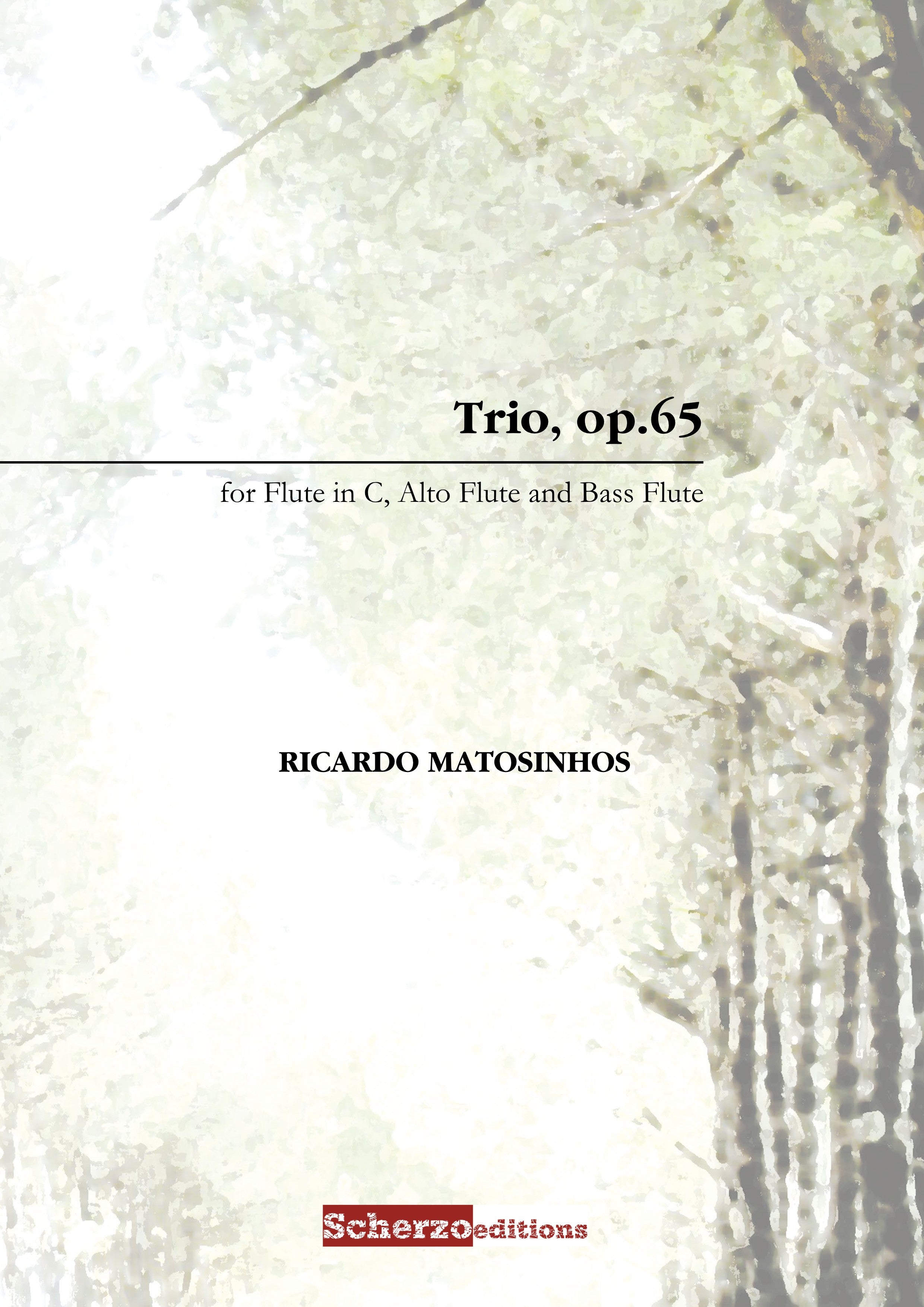 Matosinhos, R :: Trio, op.65