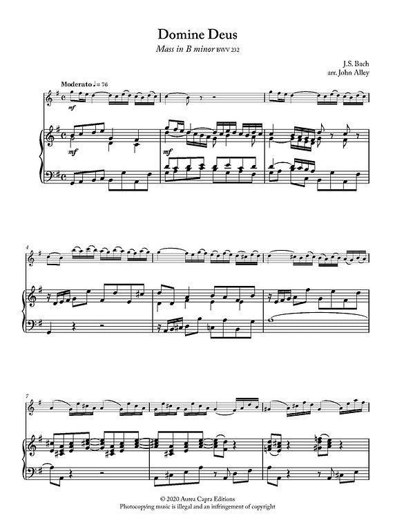 Bach, JS :: J.S. Bach Flute Obbligatos