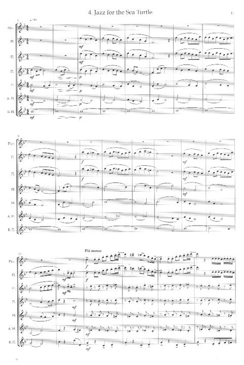Pucihar, B :: Luna's Magic Flute