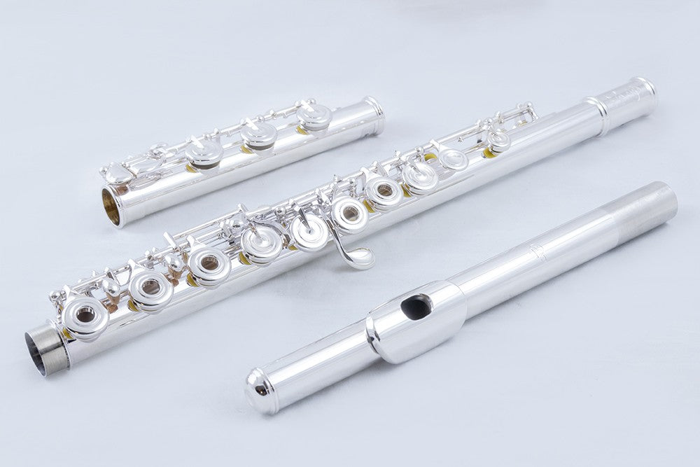 Di Zhao Flute: DZ-500/601