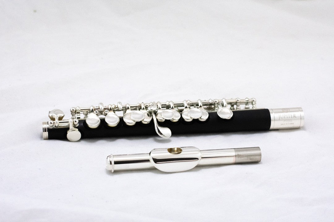 Jupiter Piccolo JPC1100E