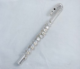 Flute - Di Zhao MiNiDi #1801035 (Demo Sale)