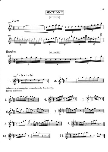 Orchestral Excerpt Practice Book - Page 15