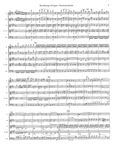 Mozart, WA :: The Marriage of Figaro, 2nd Ed. (Overture)