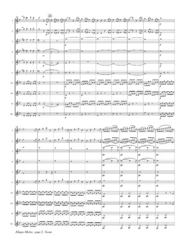 Allegro Molto Score Page 2