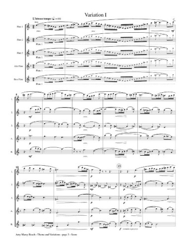 Theme and Variations Page 6