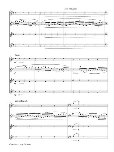 Concertino Op. 107 Page 2