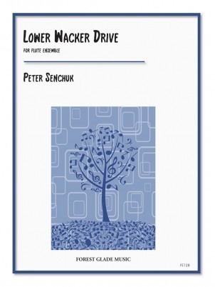 Senchuk, P :: Lower Wacker Drive