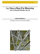 Brahms, J :: Lo, How a Rose E'er Blooming